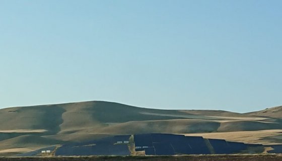 Avustralya Projesi
